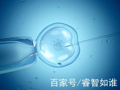 爱心供卵代怀助孕咨询哪家好生殖医学中心